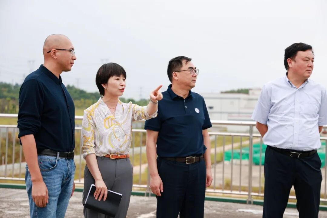 区域分化下的水泥市场冷暖